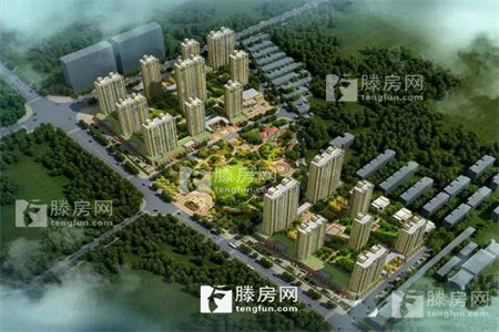 龙泉街道东城东新社区3室2厅1卫120平米